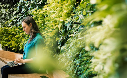 Photo of a woman with laptop sitting next to a wall of leaves